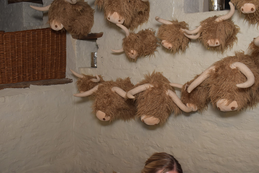 PartyBooth BY ELIAS WALPOT PHOTOGRAPHIE